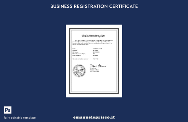 certificato di esistenza e registrazione in stile verificato USA Minnesota Model